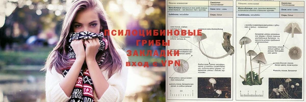 соль курить ск Козельск