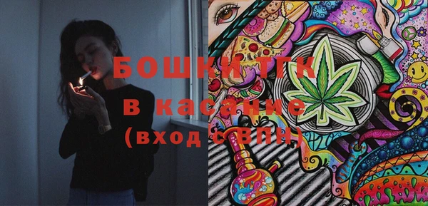 индика Кодинск