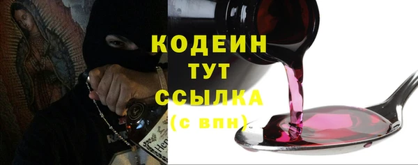 индика Кодинск