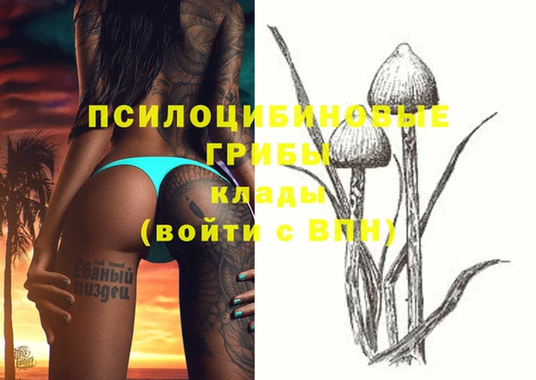 спайс Козловка