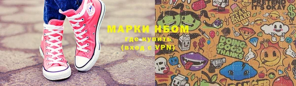 индика Кодинск